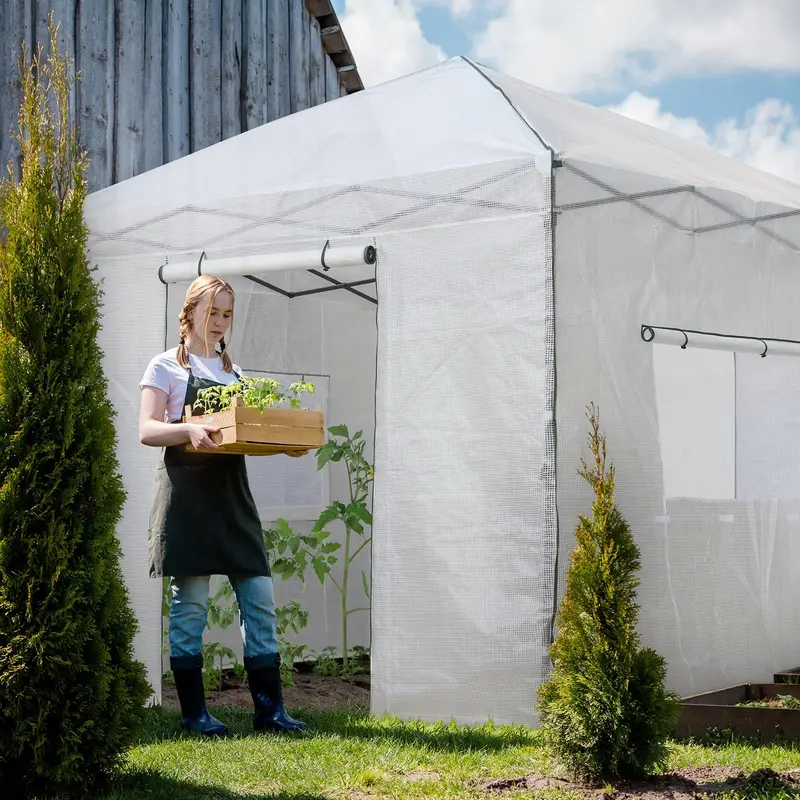 10×10 Walk-In Pop-Up Greenhouse Tent 2