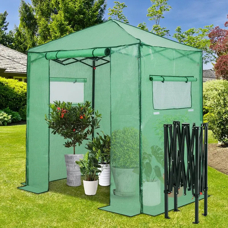 6 Ft × 4 Ft Walk-In Indoor/Outdoor Greenhouse – Rapid Assembly 1