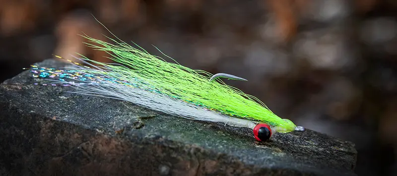 Ahrex Bob Clouser Signature Sa210 Fly Hook 1