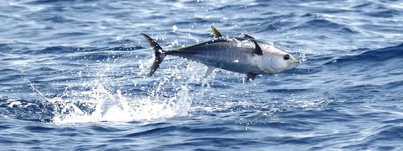 Bite Club Annual Saltwater Fishing Tournament 1