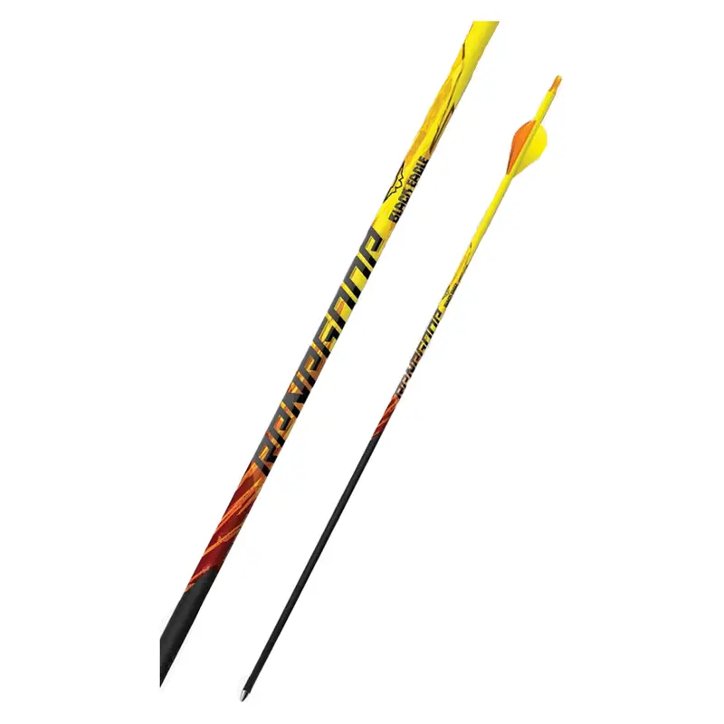 Black Eagle Renegade Pre-Fletched Carbon Arrows (6-Pack) 1