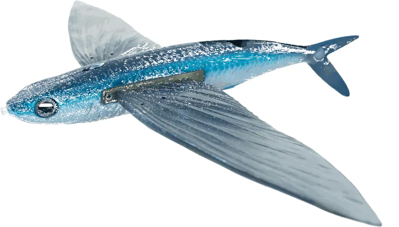 California Flyer Co. Delta Flyer 350 Performance Hat 1