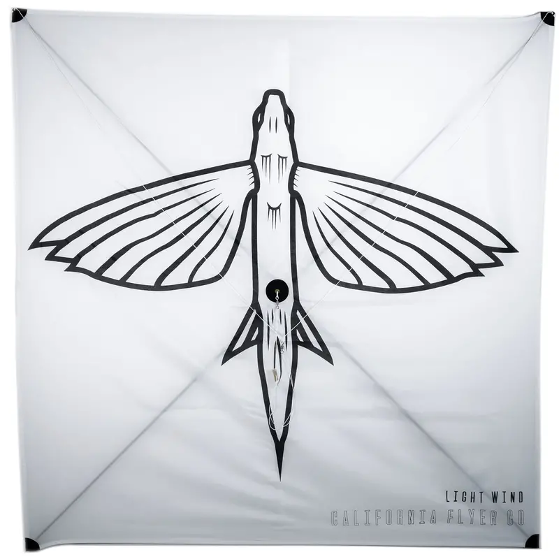 California Flyer Light-Wind Fishing Kite For Calm Conditions 1