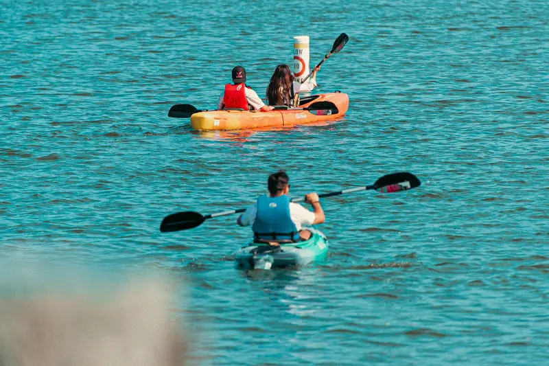 Goose Hummock Guided Kayak Tour – Hopkins Island Excursion, 2 Hours, $50 Per Person 1