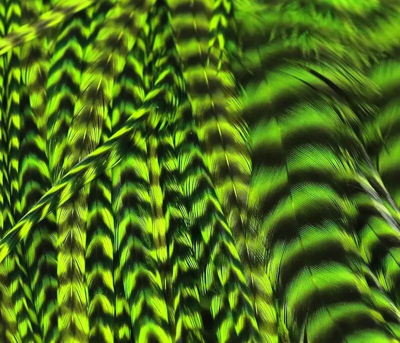 Hareline Dubbin Half-Grizzly Saddle Hackle – Chartreuse, Size #54 1