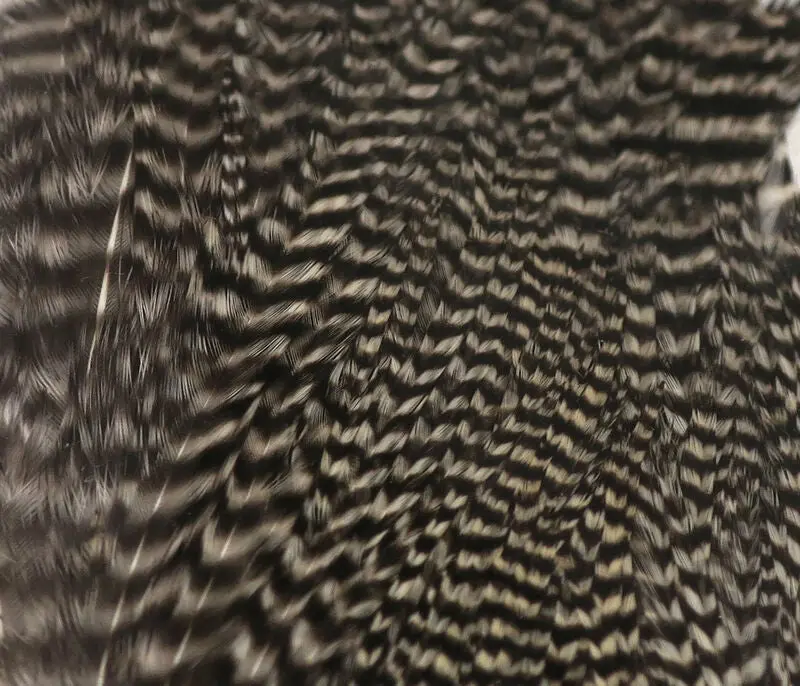 Hareline Half Cape Rooster Hackle – #176 Grizzly Natural 1