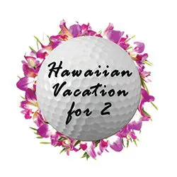 Hawaiian Getaway Experience For Two 1