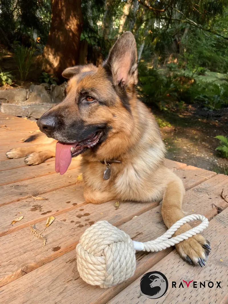 Hemp Rope Ball Tug Chew Toy – Natural Dog Enrichment Toy 1