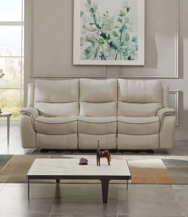 Henricus Modern Sofa By Furniture Of America – Cm9911Bg-Sf 1