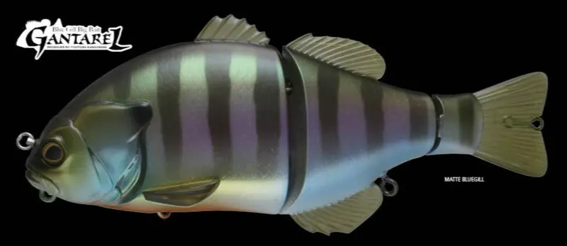 Jackall Gantarel Jr. Crankbait – 5-Inch Topwater Fishing Lure 2