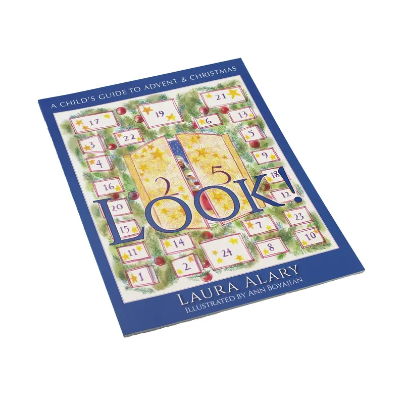 Look! A Visual Discovery Picture Book For Early Learners 1