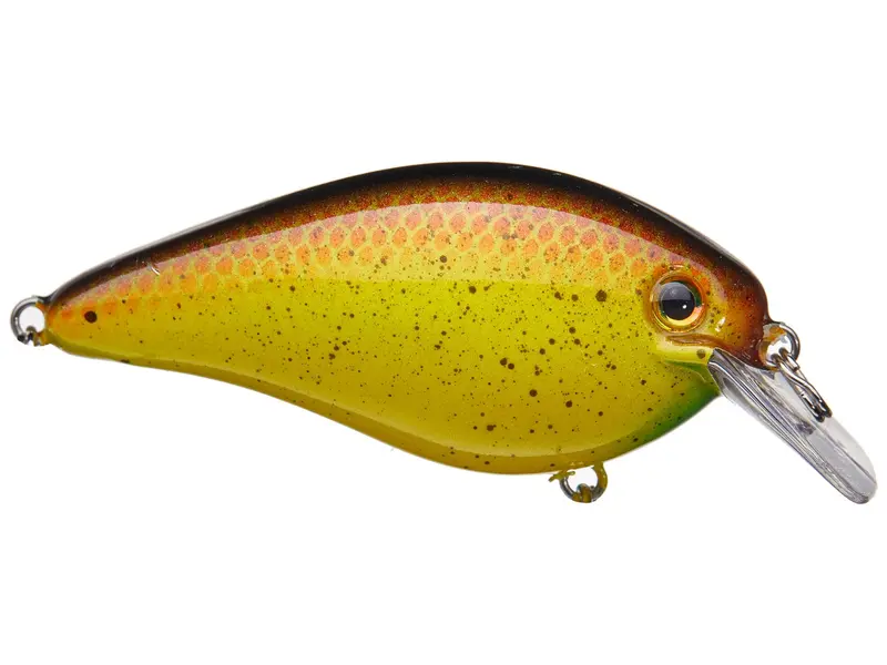 Strike King Kvd Hc Square Bill Crankbait – 2.75", Silent Action, Bully Color, 5/8 Oz 1
