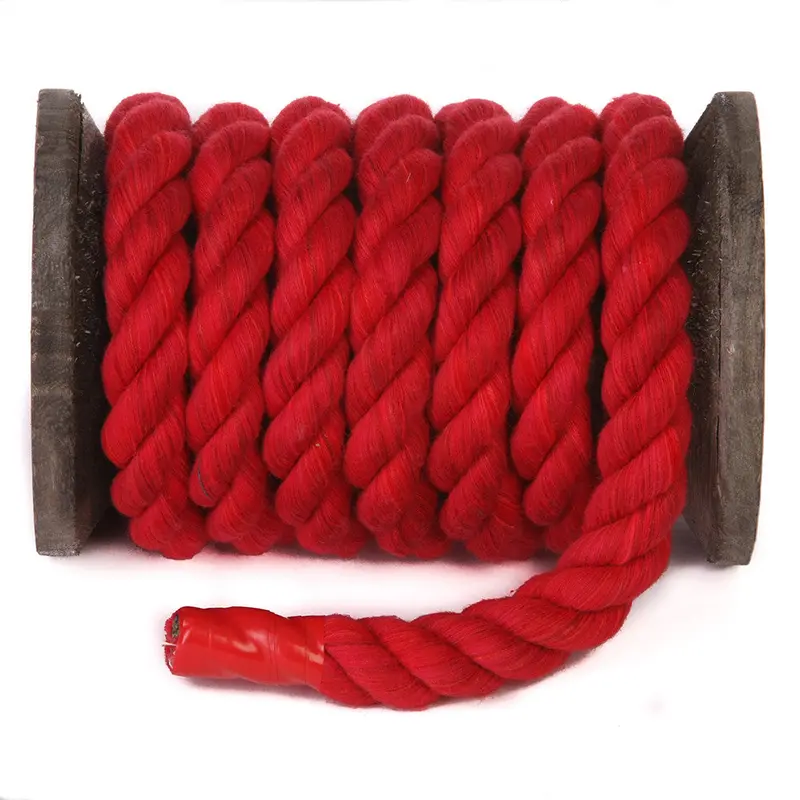 Twisted Cotton Decor Rope – Neutral Tone For Modern Interiors