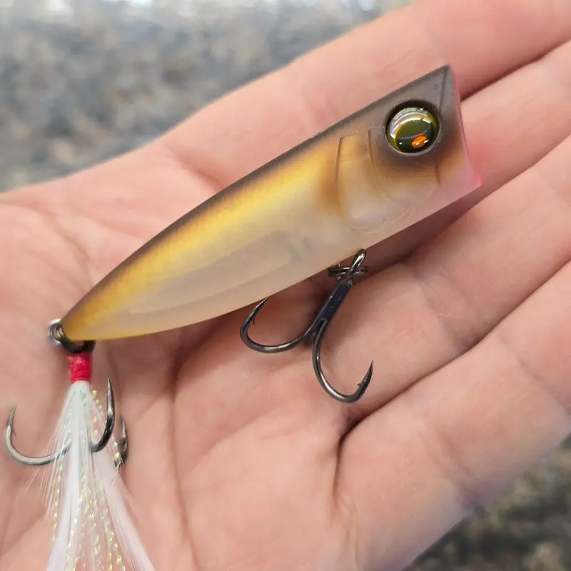 Yo-Zuri Pro Series Popper – 2.75-Inch Matte Shad Finish, 3/8-Ounce 1